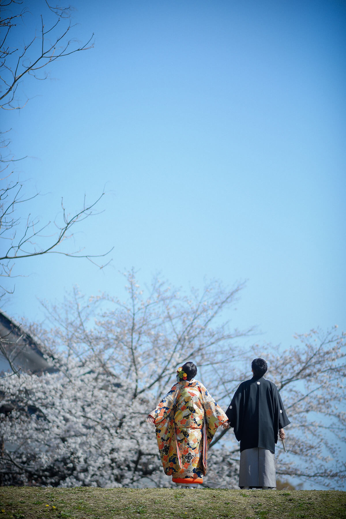 名城公園/外景地[名古屋/日本]