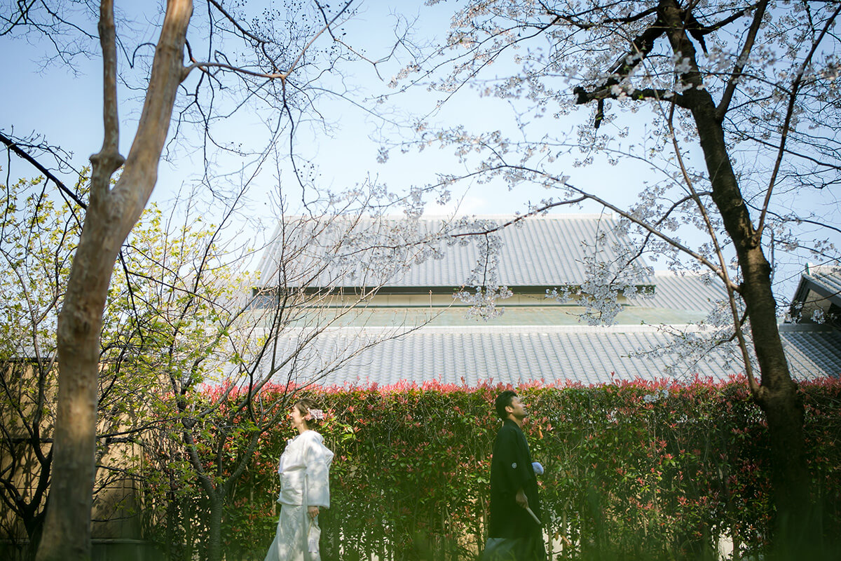 名城公園/外景地[名古屋/日本]