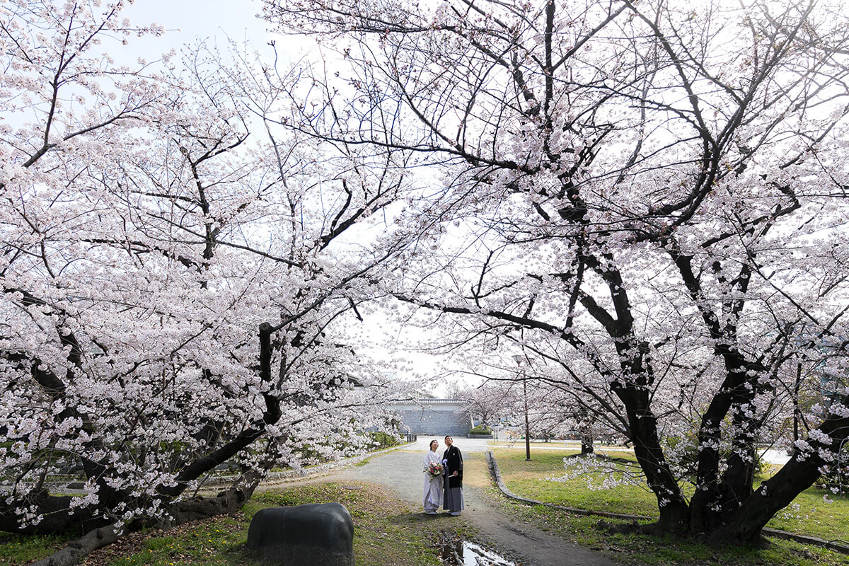 名城公園/外景地[名古屋/日本]