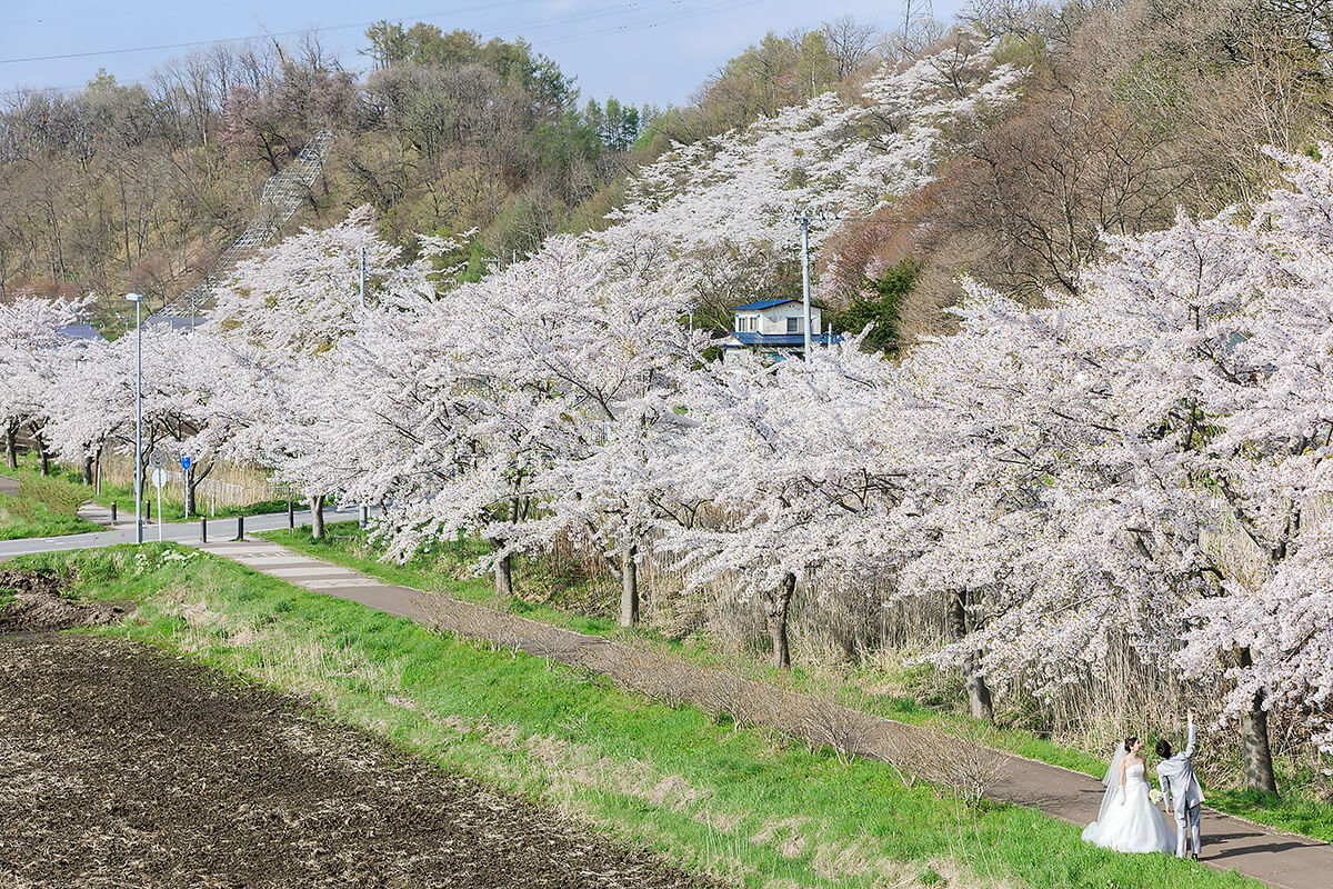 北海道 - 絢爛