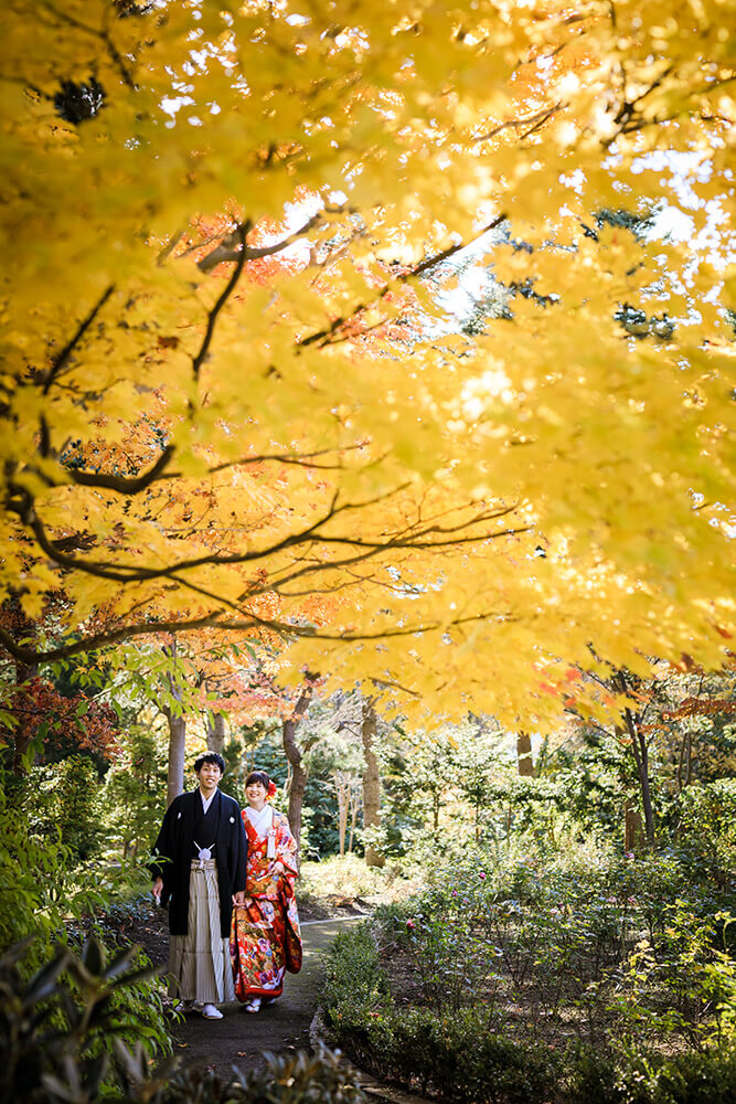 北海道 - 雅