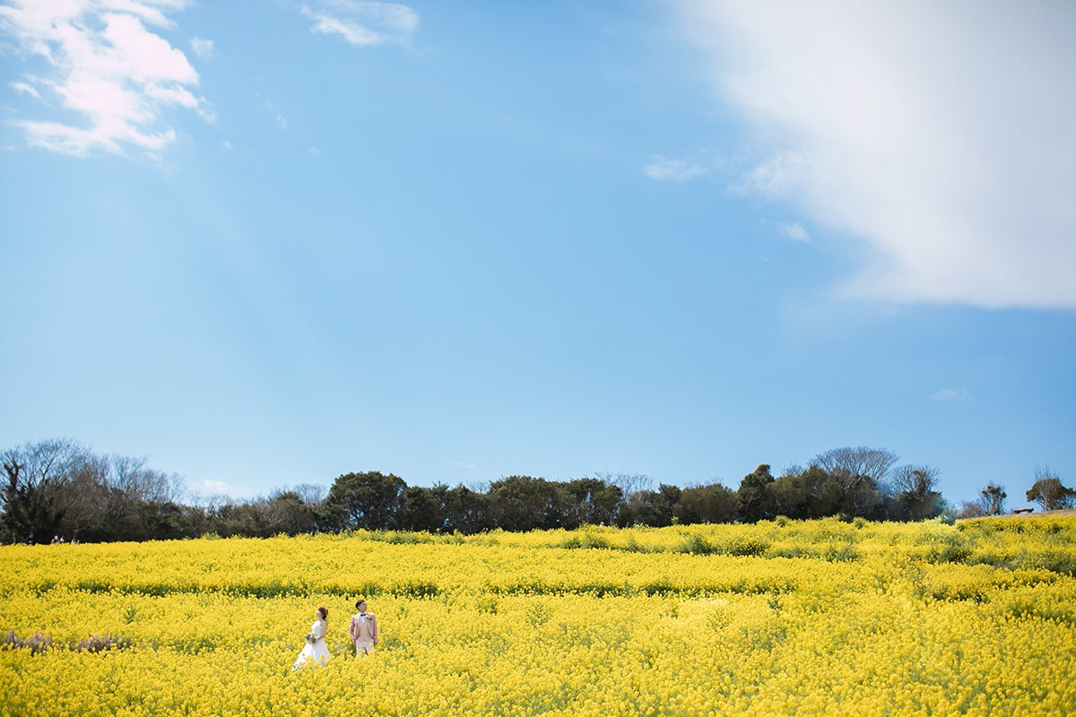 神戶 - 絢爛 Photo by TATSUYA