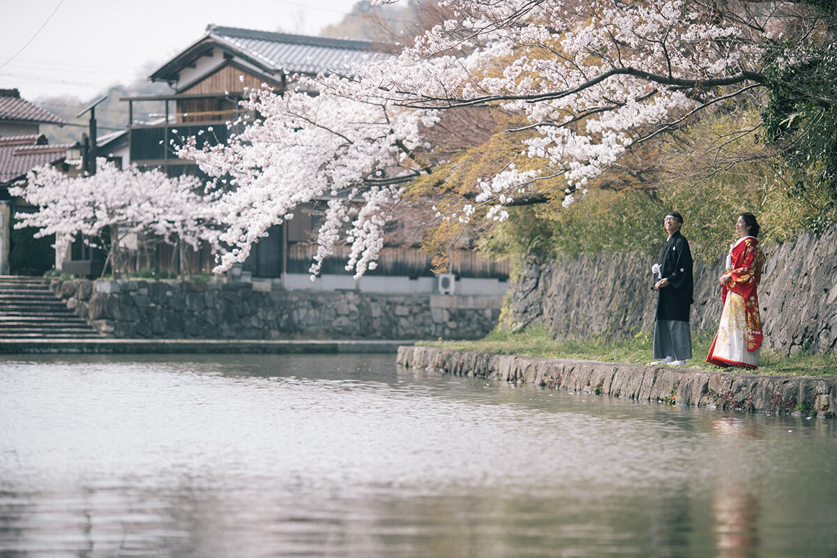 京都 - Premium 1Day