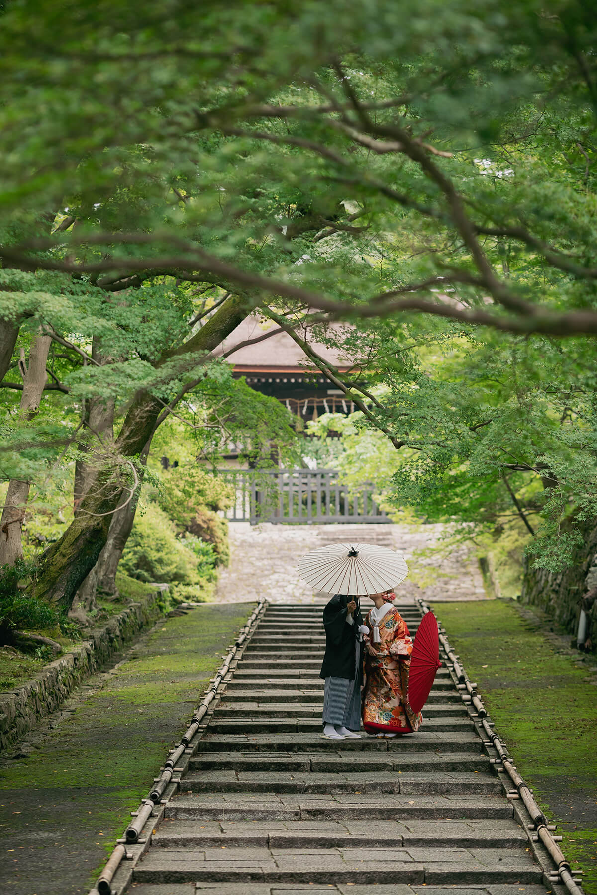 京都 - 絢爛