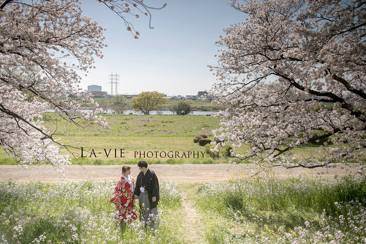 東京 - Premium 1Day