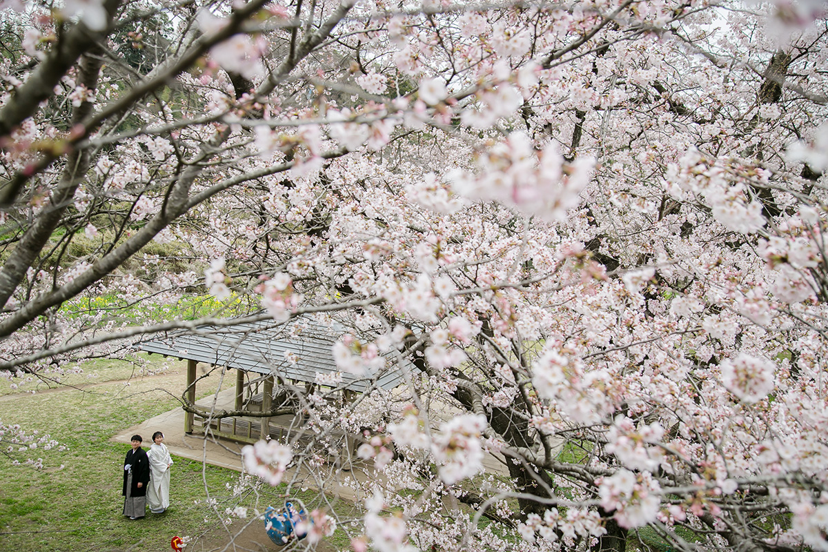 花島公園/外景地[千葉/日本]