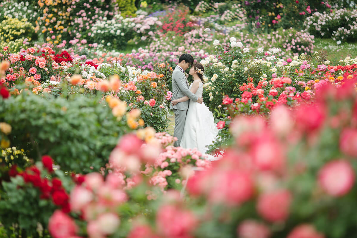 Rose garden/外景地[千葉/日本]