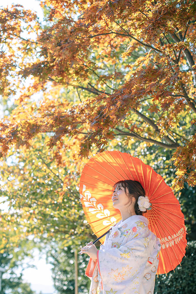 紅葉八幡宮/外景地[福岡/日本]