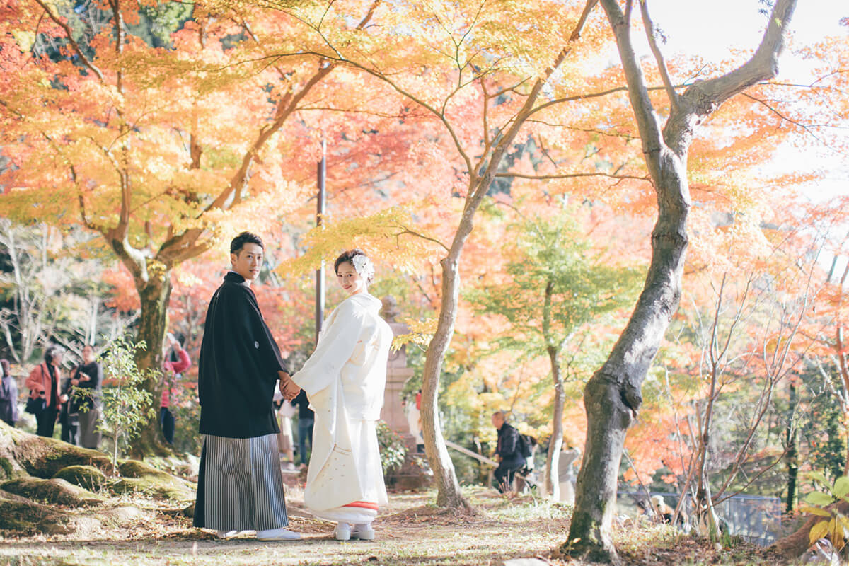 竈門神社/外景地[福岡/日本]