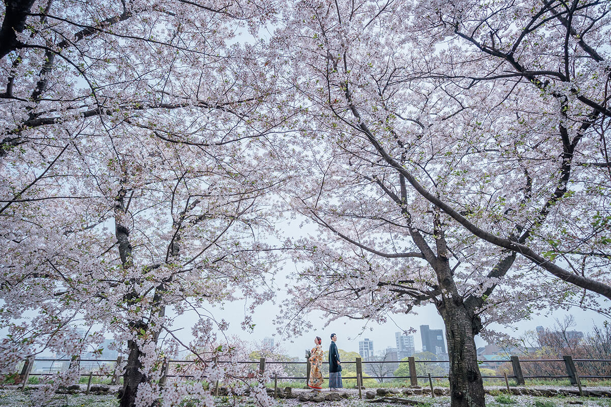 舞鶴公園/外景地[福岡/日本]