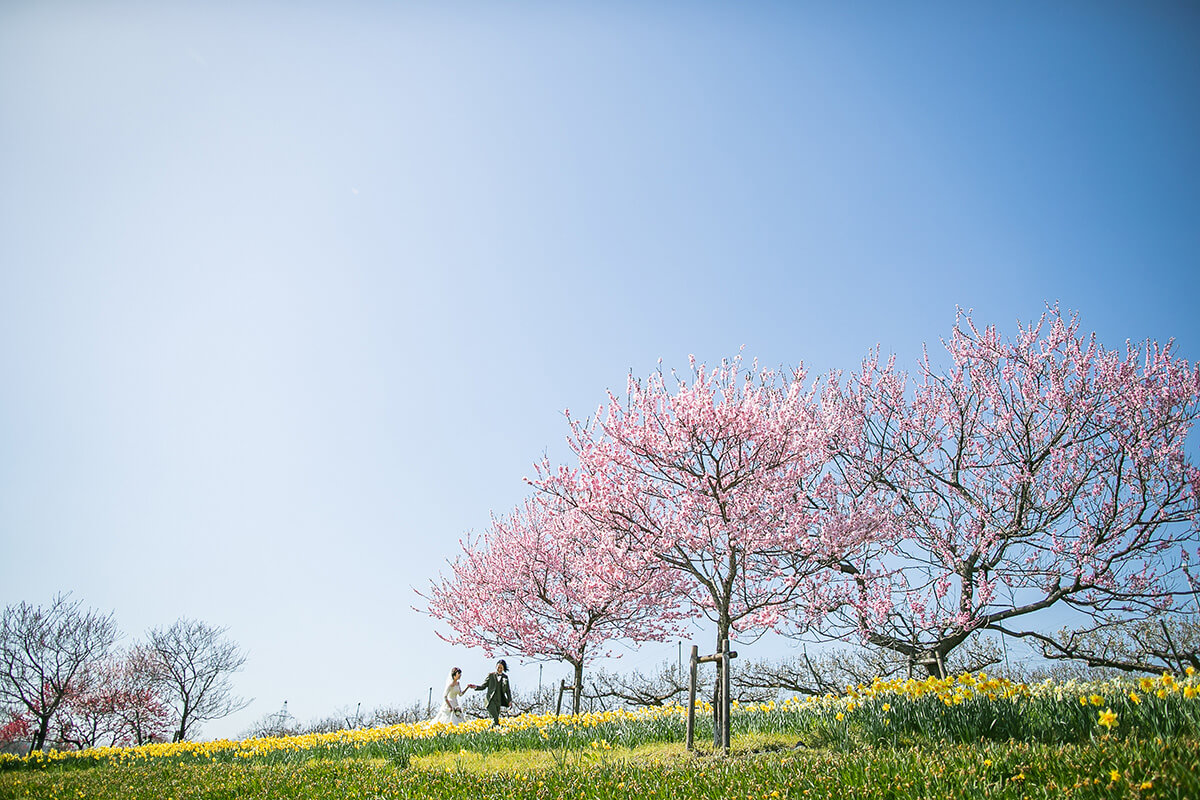 備北丘陵公園/外景地[廣島/日本]