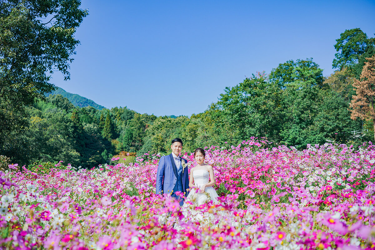 廣島市植物園/外景地[廣島/日本]