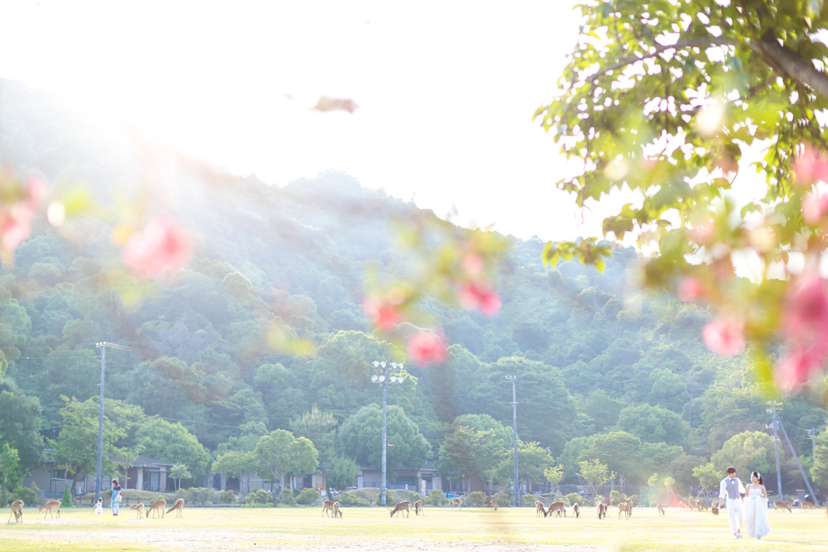 宮島/外景地[廣島/日本]