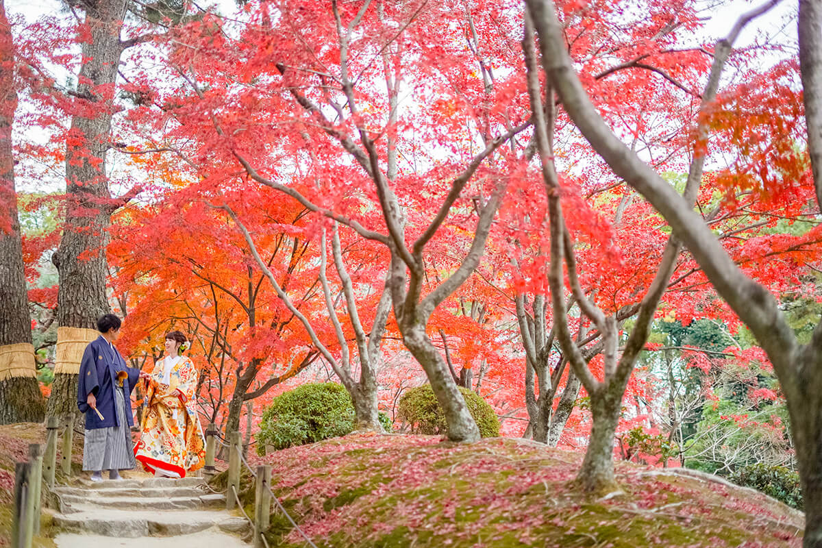 縮景園/外景地[廣島/日本]