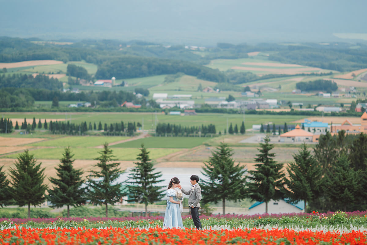 花之樂園(富良野)