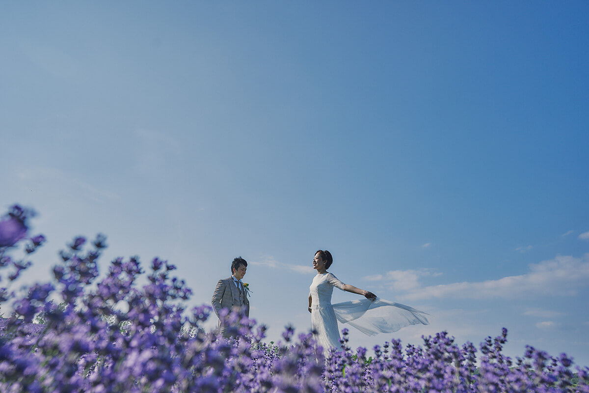 花之樂園(富良野)