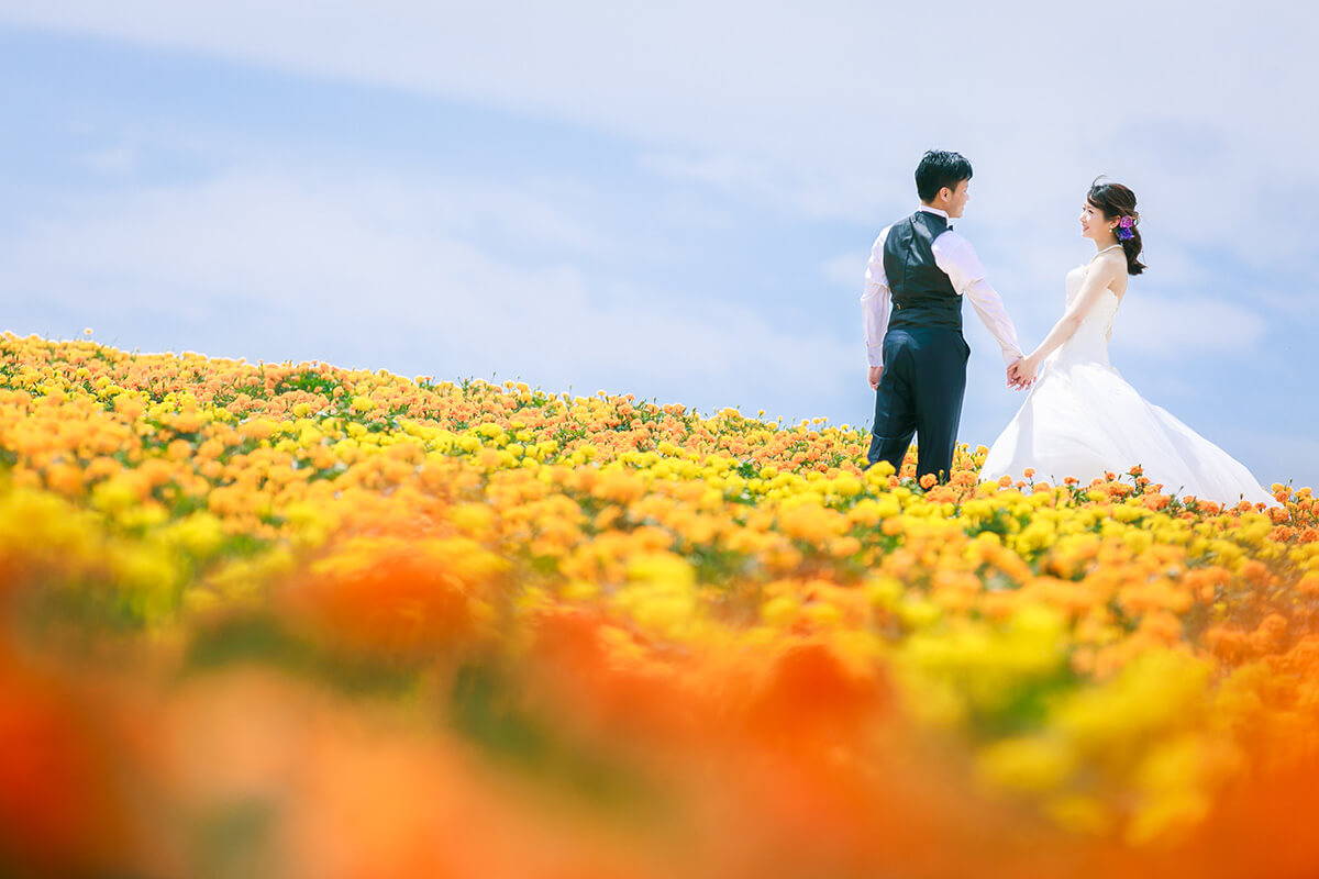 富良野/外景地-北海道婚紗攝影[在日本拍攝婚紗照][北海道/日本]