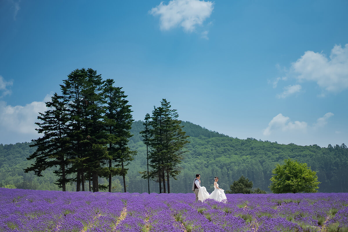 かなやま湖(富良野)