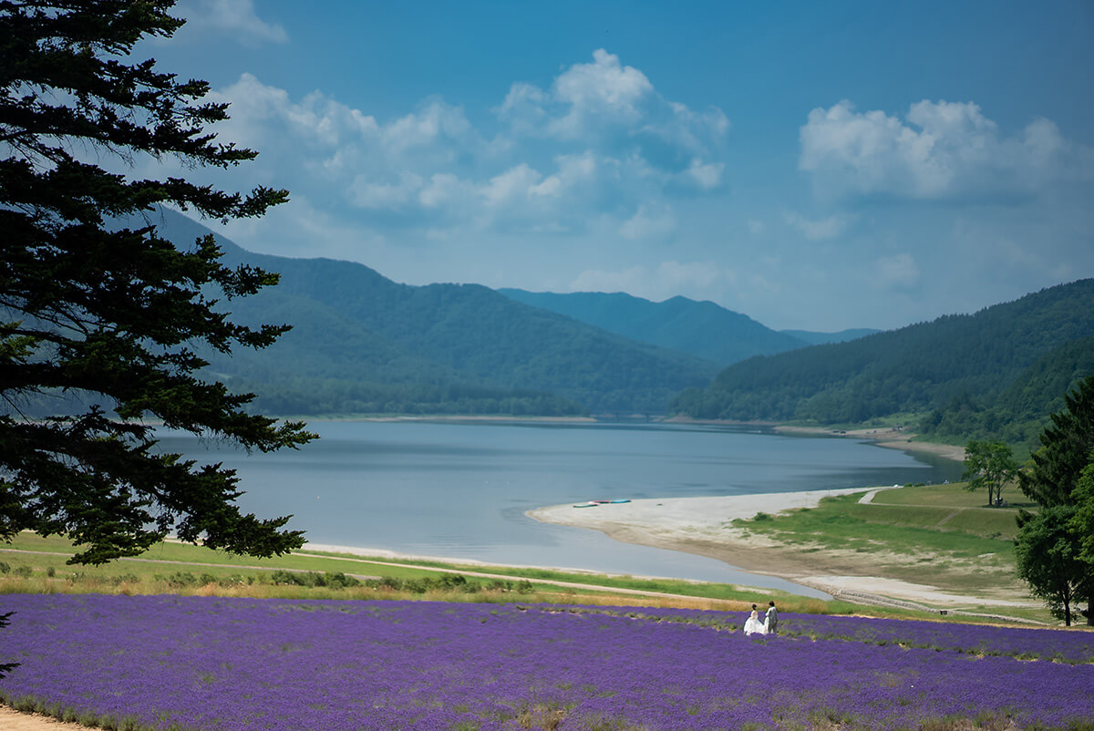 金山湖(富良野)