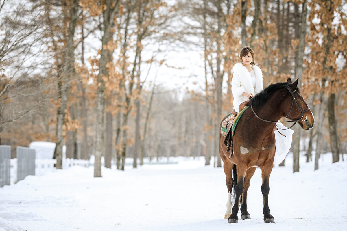 Northern Horse Park