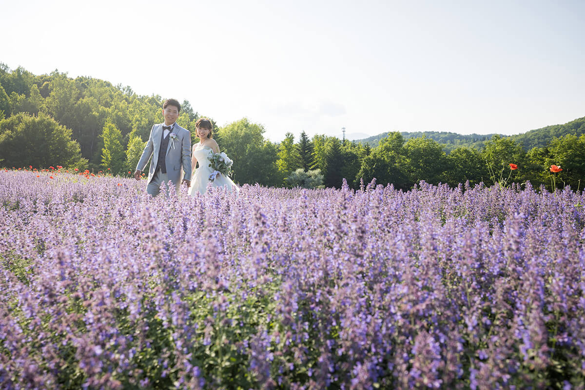 瀧野鈴蘭丘陵公園/外景地-北海道婚紗攝影[在日本拍攝婚紗照][北海道/日本]