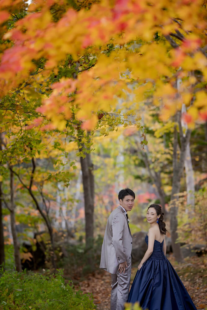 瀧野鈴蘭丘陵公園/外景地-北海道婚紗攝影[在日本拍攝婚紗照][北海道/日本]
