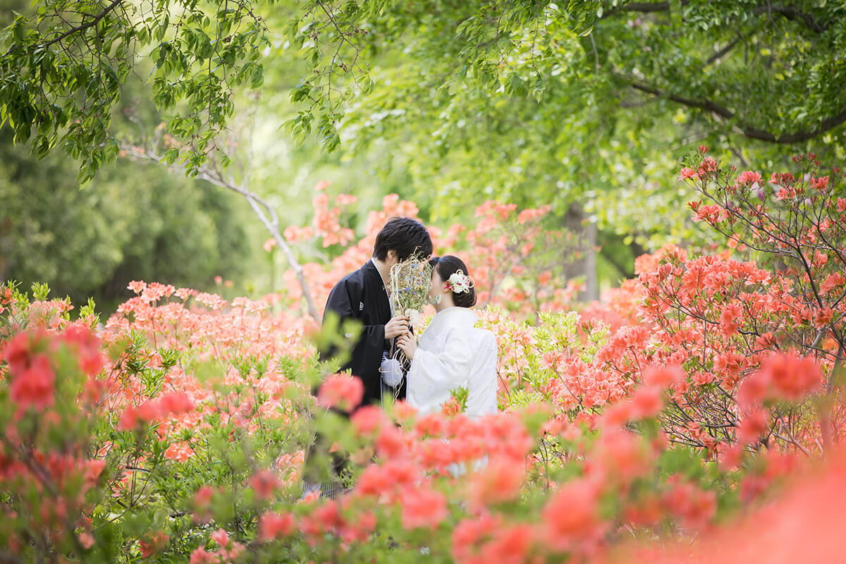 百合が原公園/外景地-北海道婚紗攝影[在日本拍攝婚紗照][北海道/日本]