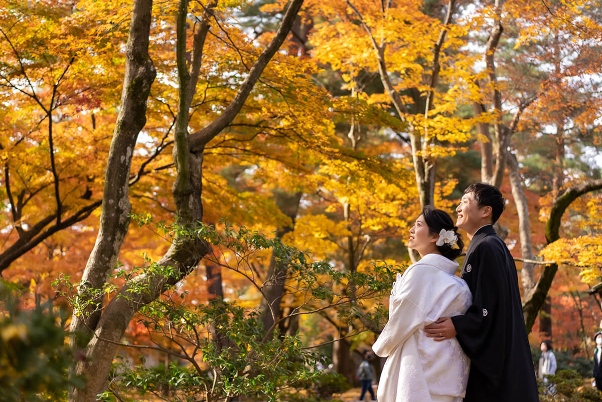 兼六園/外景地[金澤/日本]