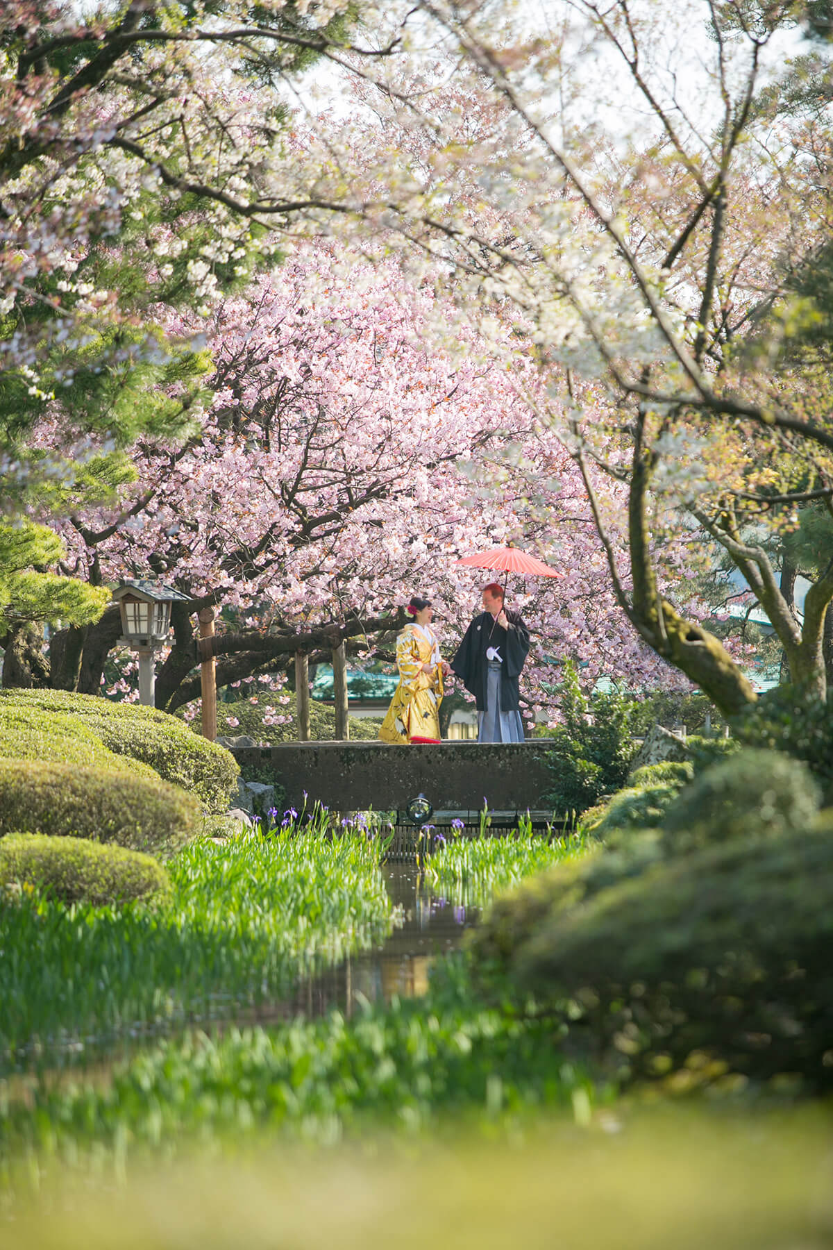 兼六園/外景地[金澤/日本]