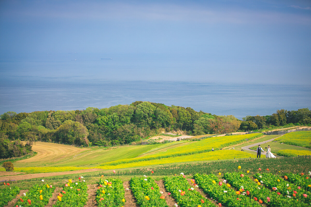 淡路島大牧場/外景地[神戶/日本]