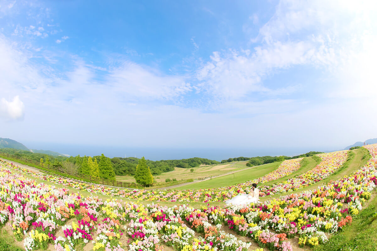 淡路島大牧場/外景地[神戶/日本]