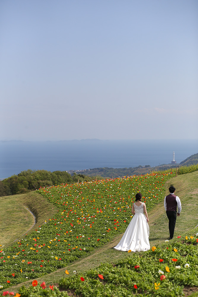 淡路島大牧場/外景地[神戶/日本]