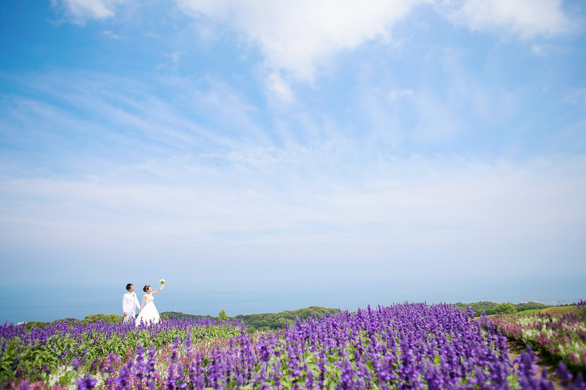 淡路島大牧場/外景地[神戶/日本]