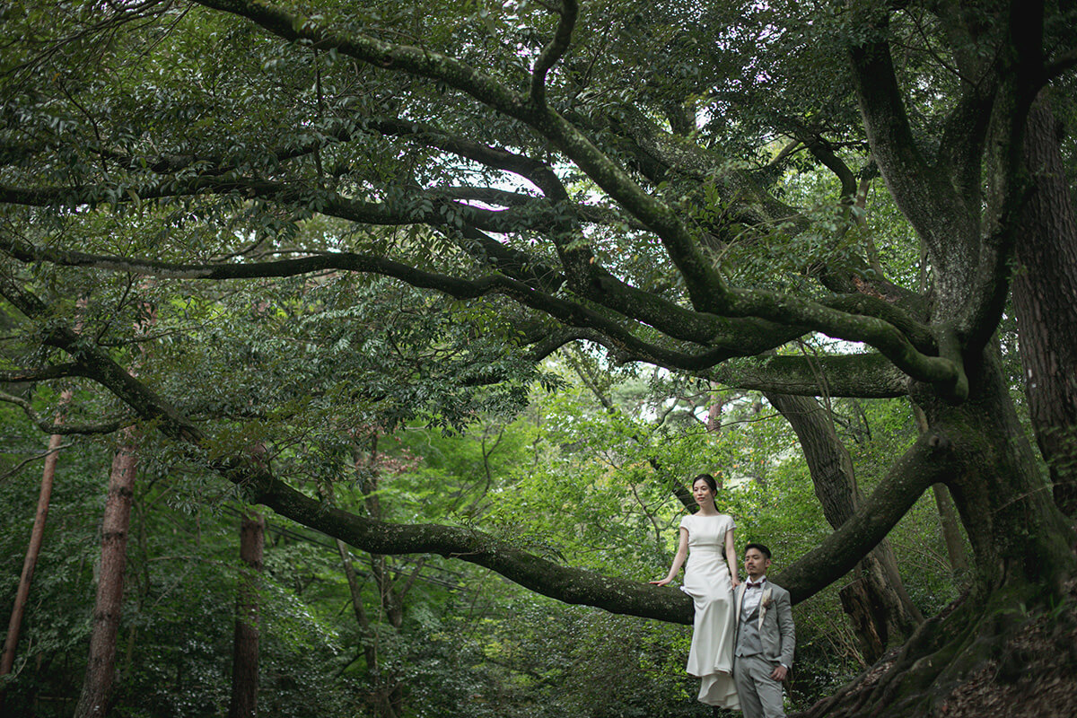 再度公園/外景地[神戶/日本]