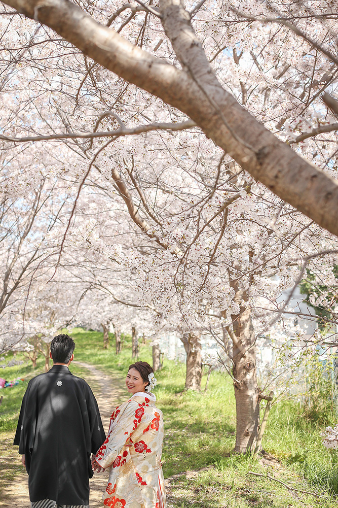 櫻花林/外景地[神戶/日本]