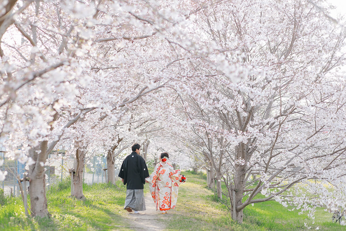 櫻花林/外景地[神戶/日本]