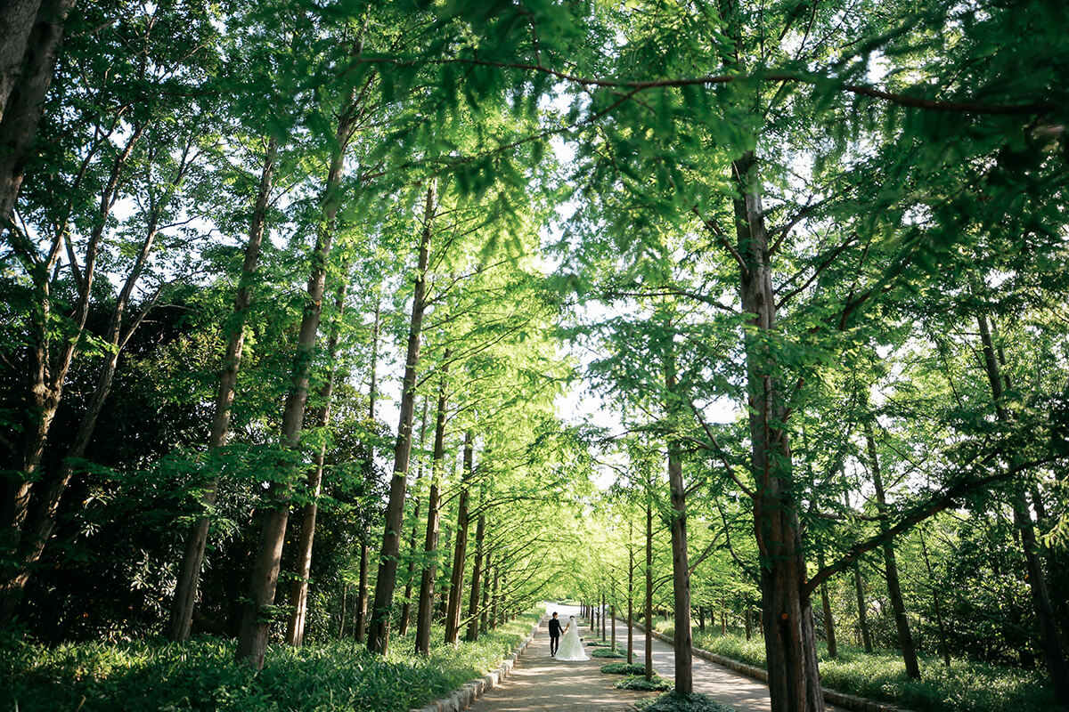 森林植物園/外景地[神戶/日本]