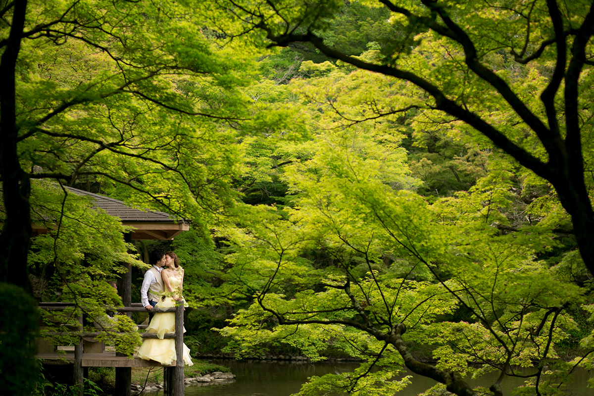 京都森林植物園/外景地[京都/日本]