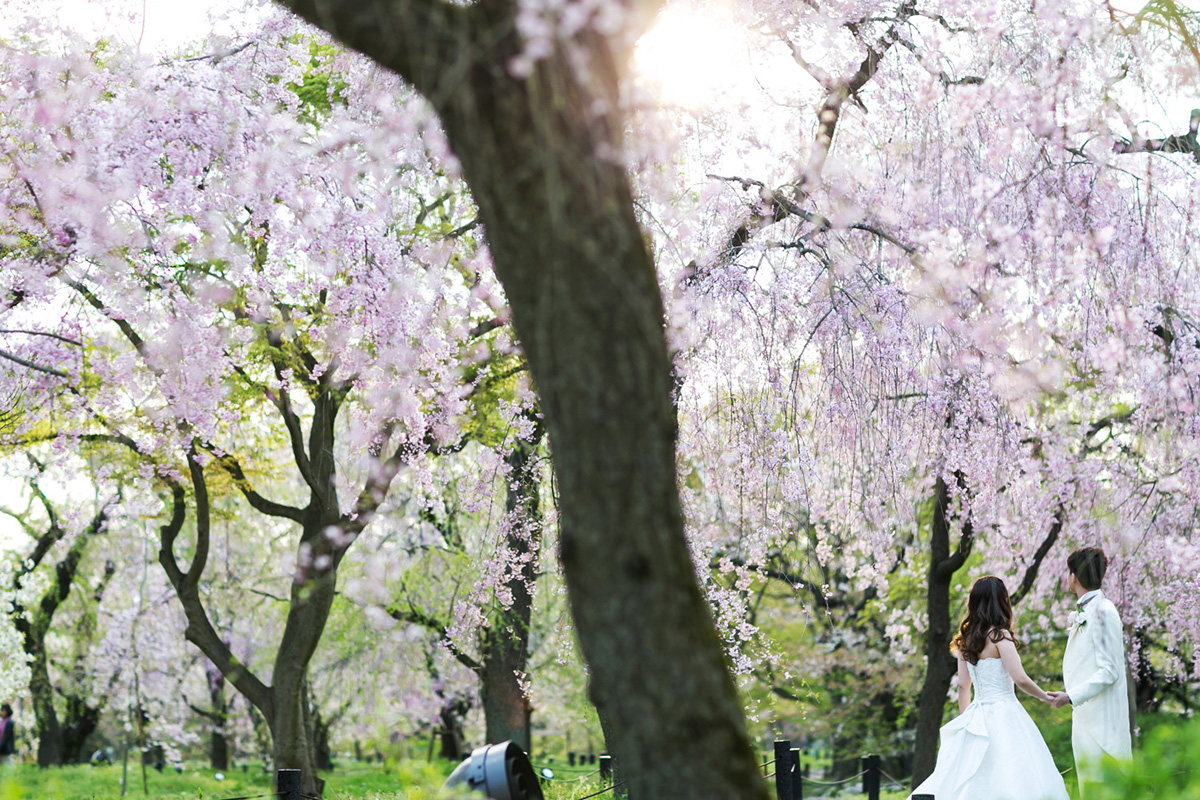 京都森林植物園/外景地[京都/日本]