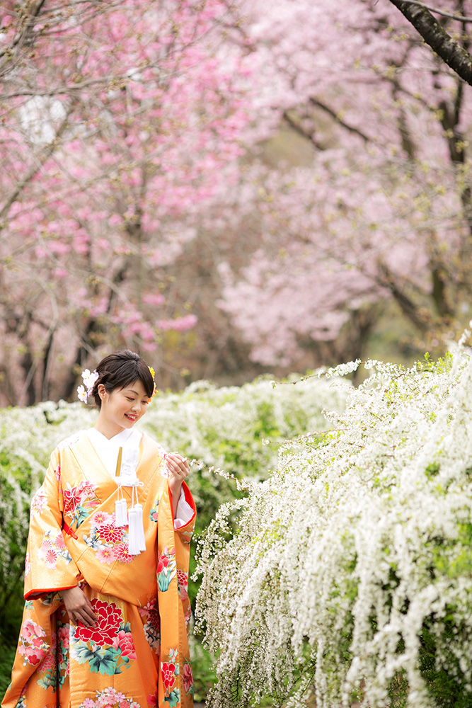 京都森林植物園/外景地[京都/日本]