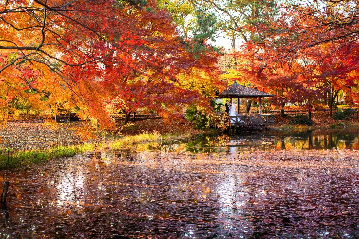 京都森林植物園/外景地[京都/日本]