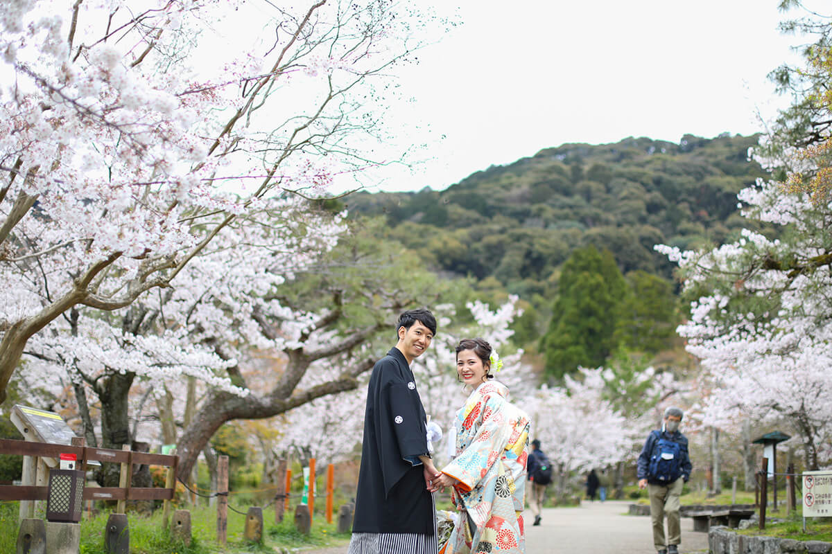 円山公園/外景地[京都/日本]