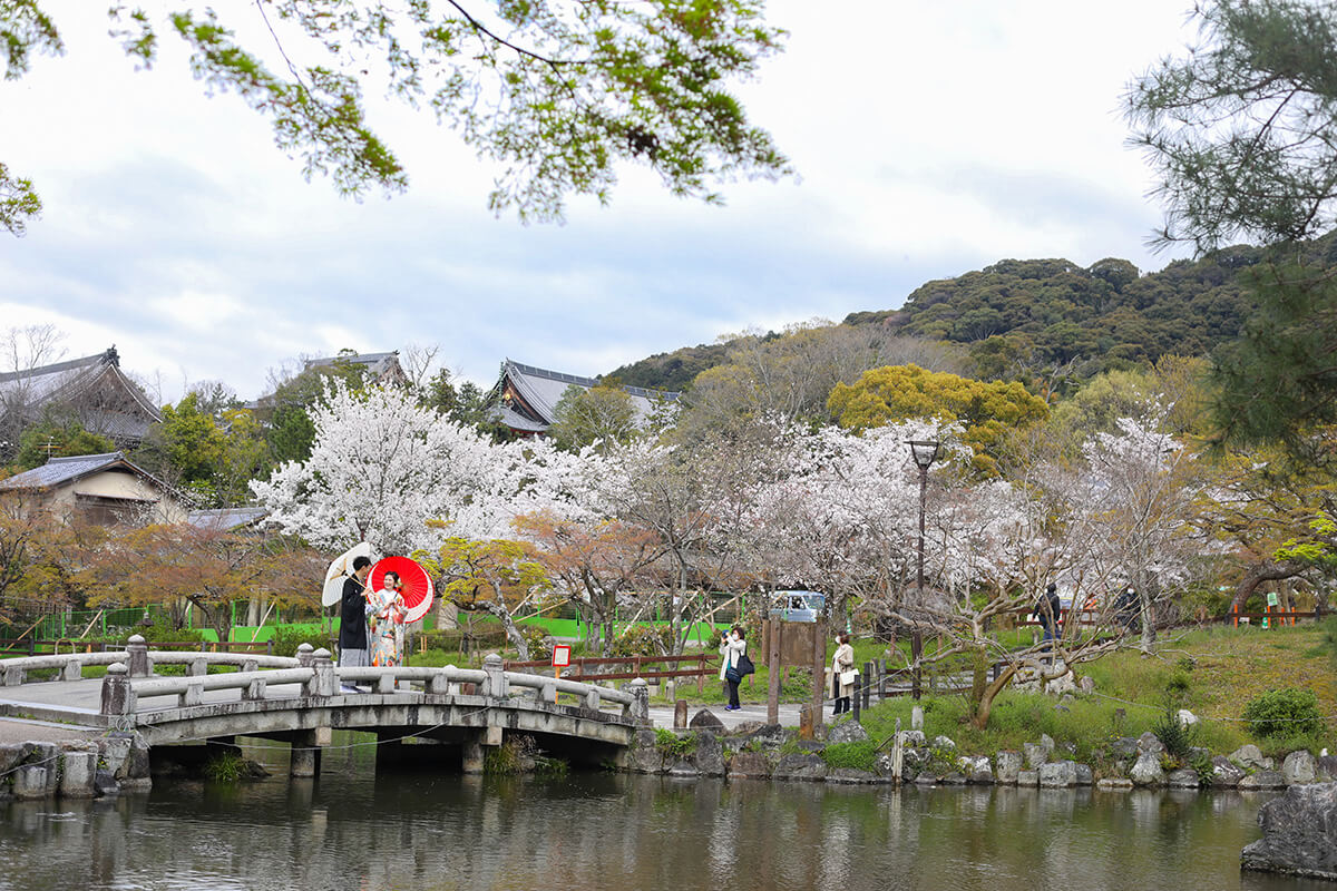 円山公園/外景地[京都/日本]