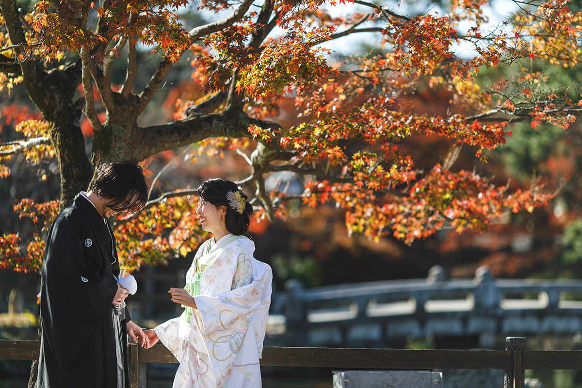 円山公園/外景地[京都/日本]