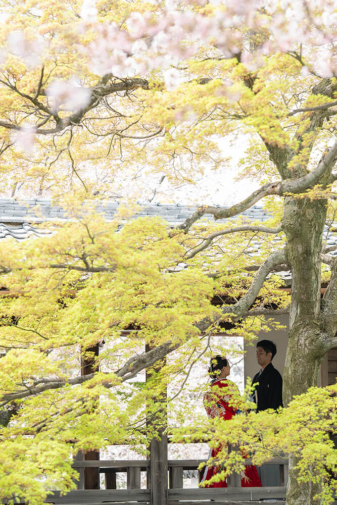 妙顕寺/外景地[京都/日本]