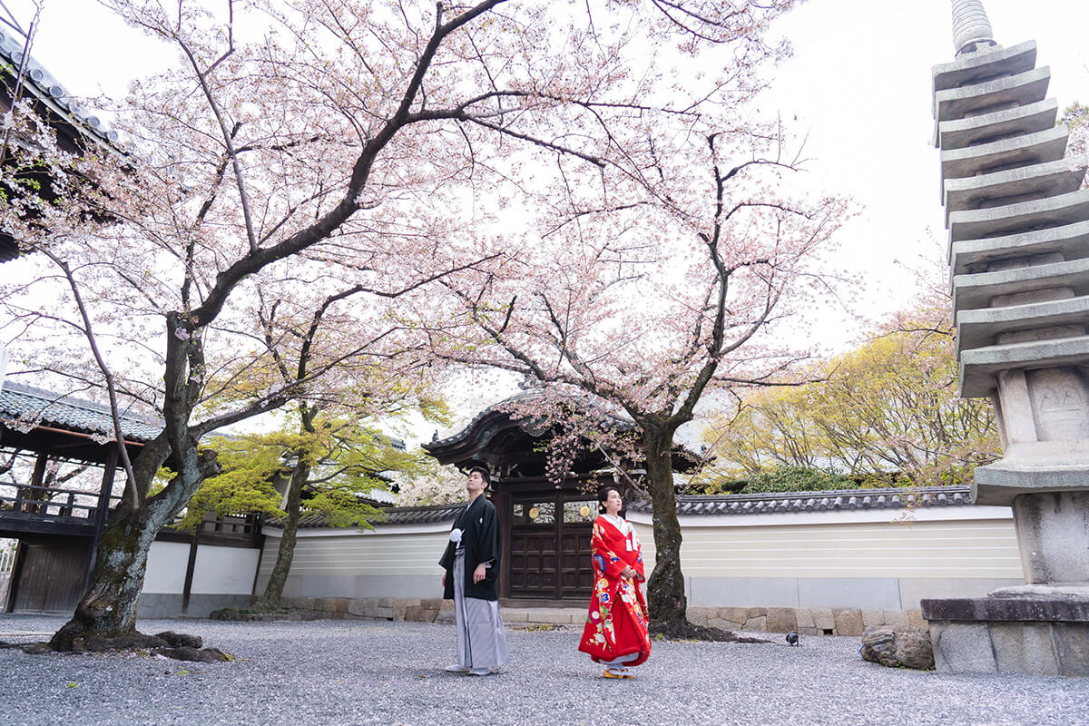 妙顕寺/外景地[京都/日本]