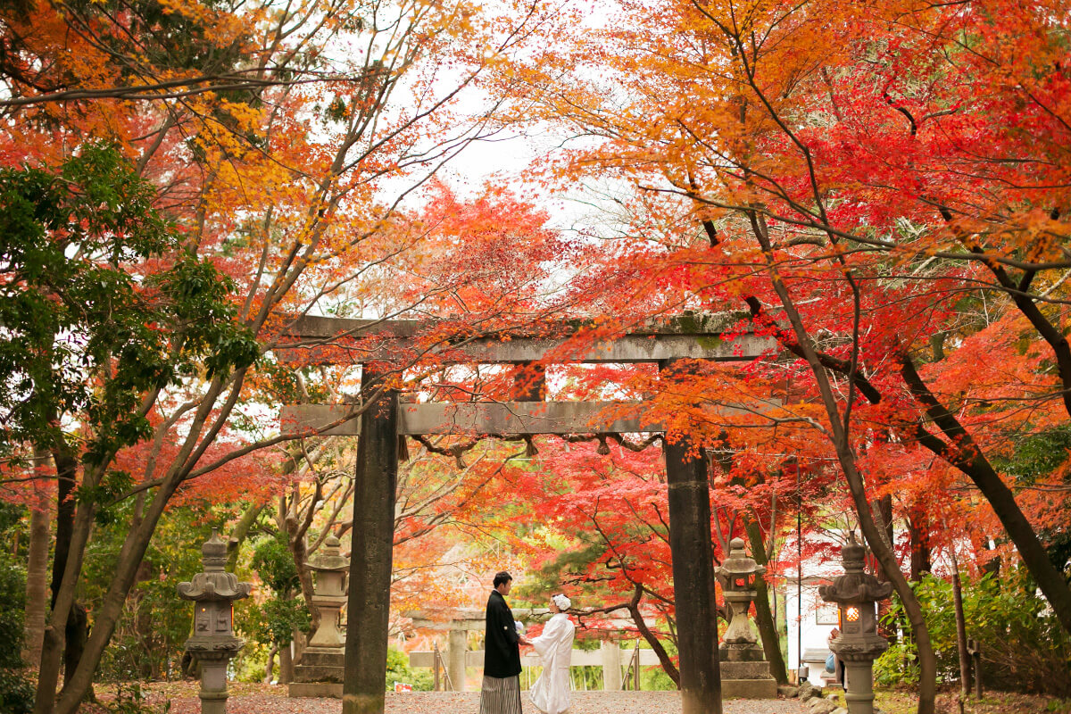 大原野神社