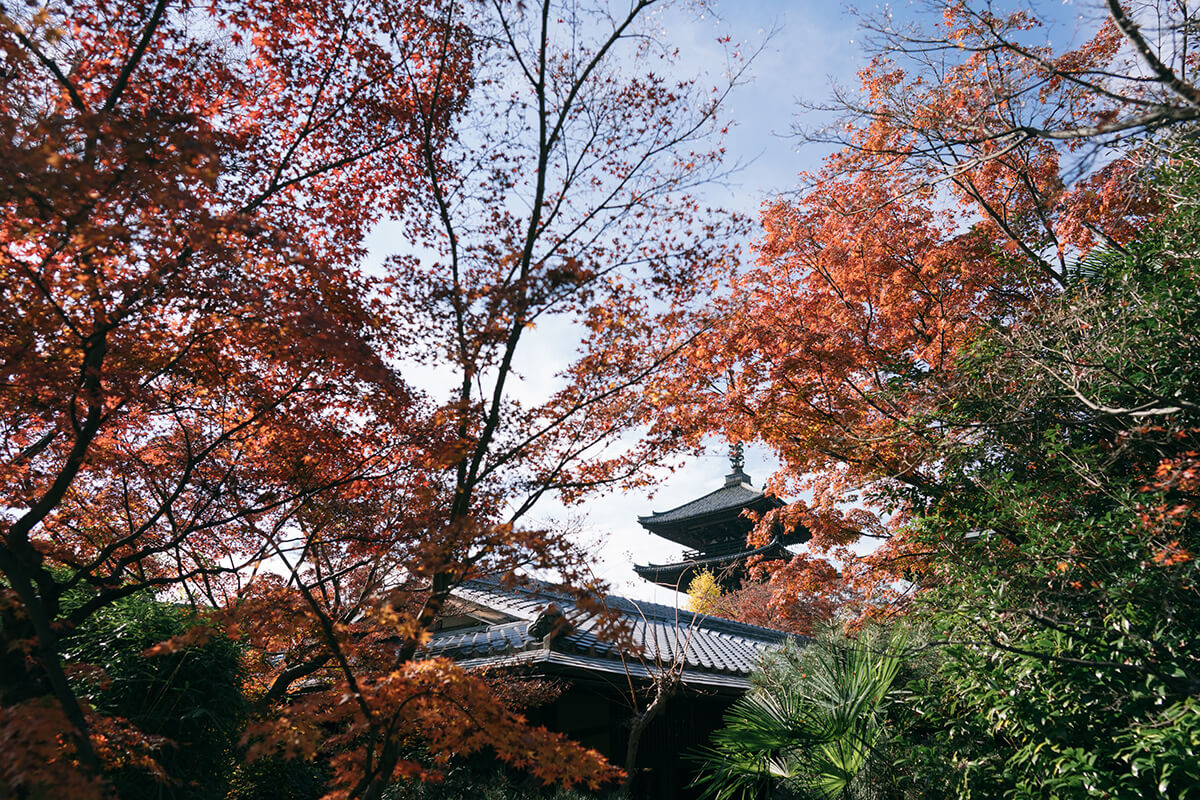 東山京都/外景地[京都/日本]