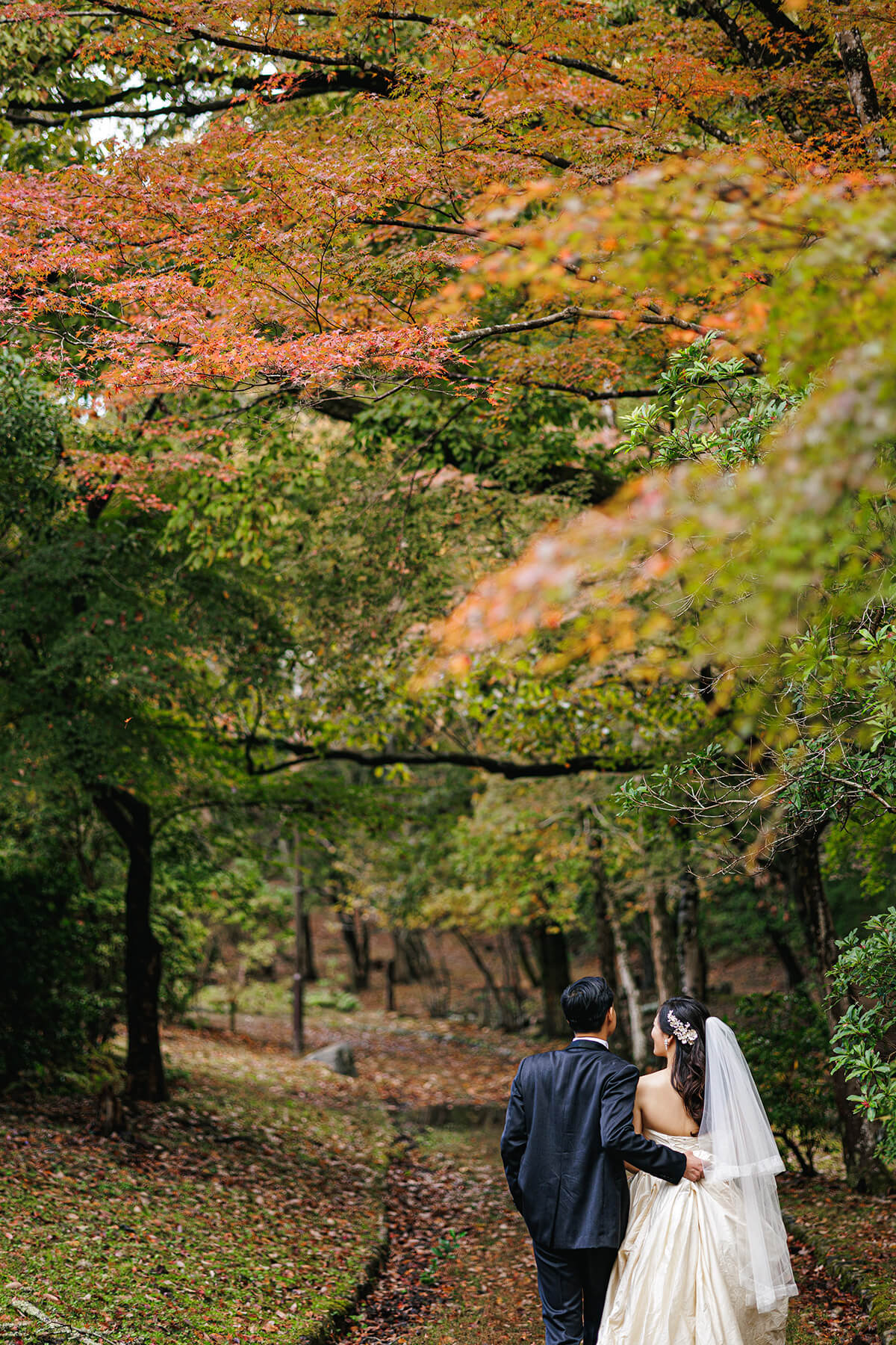 寶池公園/外景地[京都/日本]