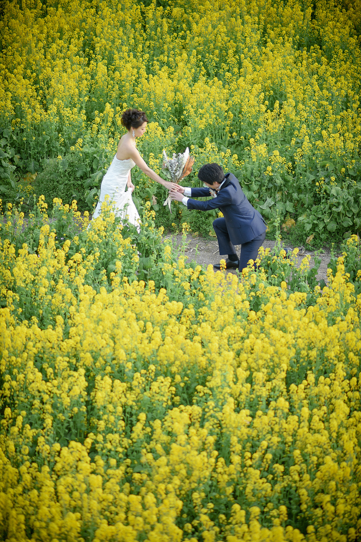 花之廣場/外景地[名古屋/日本]